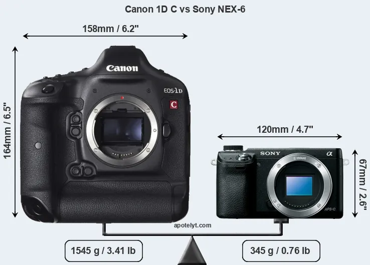 Size Canon 1D C vs Sony NEX-6