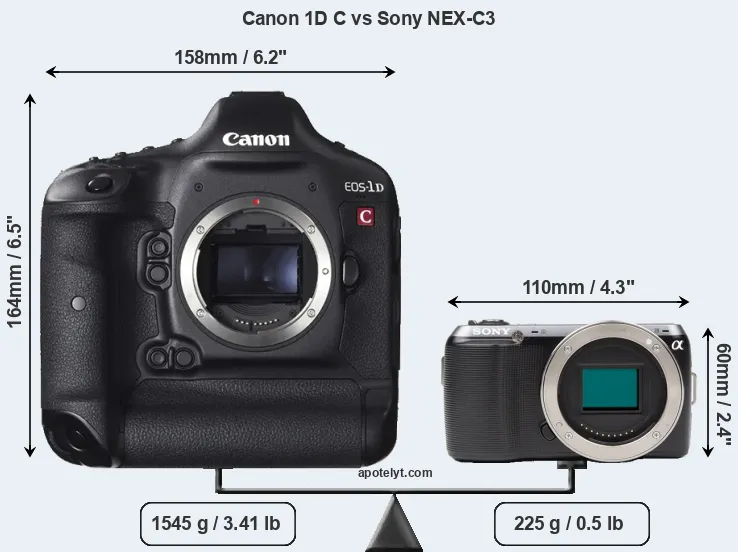 Size Canon 1D C vs Sony NEX-C3