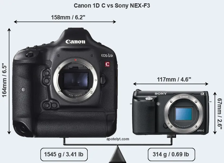 Size Canon 1D C vs Sony NEX-F3