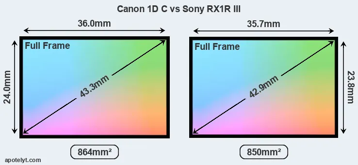 Canon 1D C and Sony RX1R III sensor measures