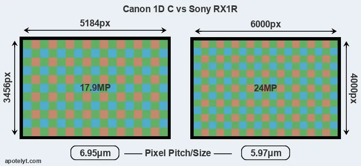 1DC versus RX1R MP