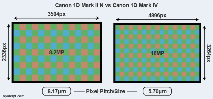 1D Mark II N versus 1D Mark IV MP