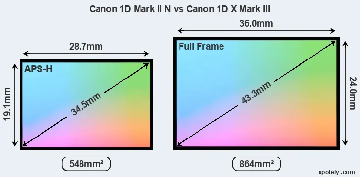 Canon 1D Mark II N and Canon 1D X Mark III sensor measures