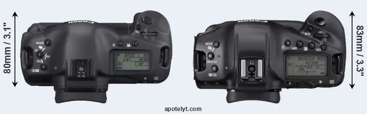Compare 1D Mark II N versus 1DX Mark III top