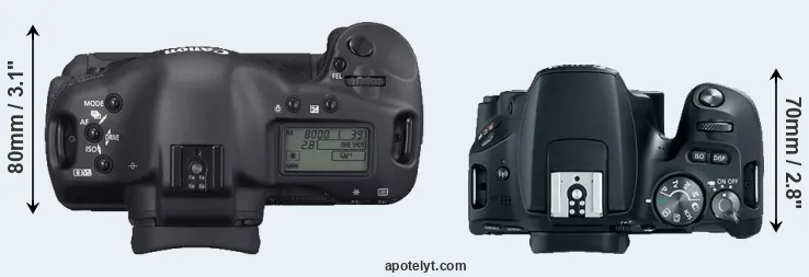 Compare 1D Mark II N versus 200D top