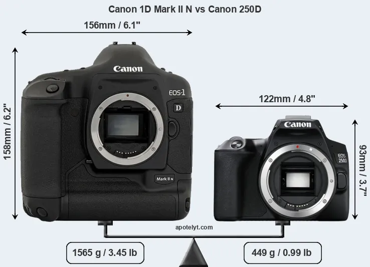 Size Canon 1D Mark II N vs Canon 250D