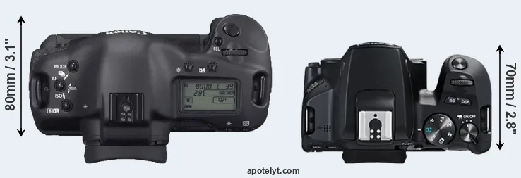 Compare 1D Mark II N versus 250D top