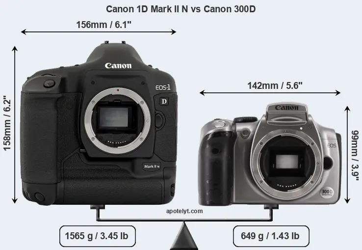 Size Canon 1D Mark II N vs Canon 300D