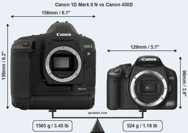 Size Canon 1D Mark II N vs Canon 450D