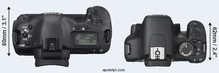 Compare 1D Mark II N versus 450D top
