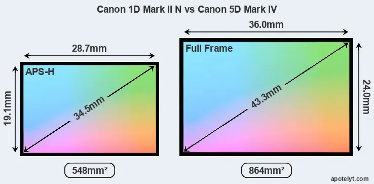 Canon 1D Mark II N and Canon 5D Mark IV sensor measures