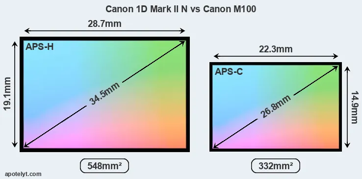 Canon 1D Mark II N and Canon M100 sensor measures