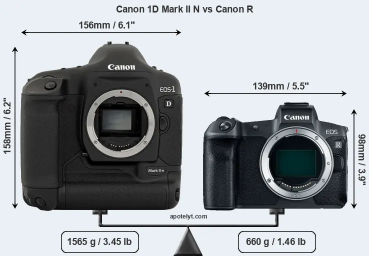 Size Canon 1D Mark II N vs Canon R