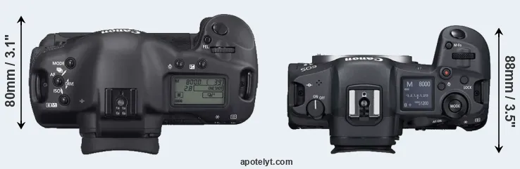 Compare 1D Mark II N versus R5 top