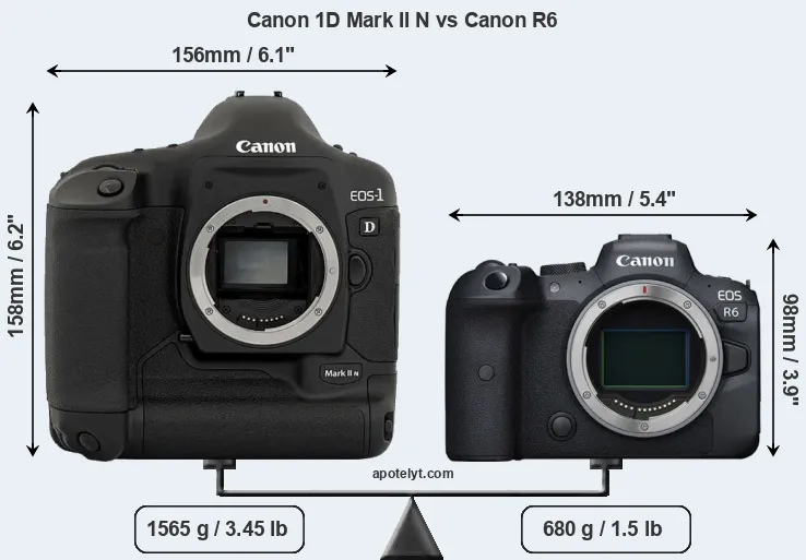 Size Canon 1D Mark II N vs Canon R6