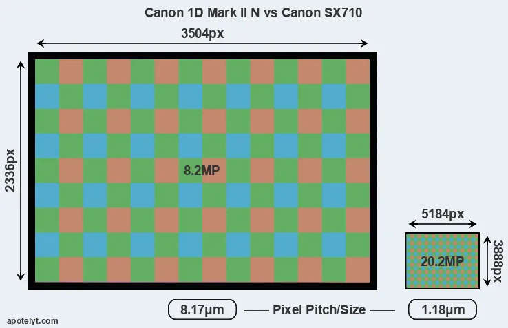 1D Mark II N versus SX710 MP