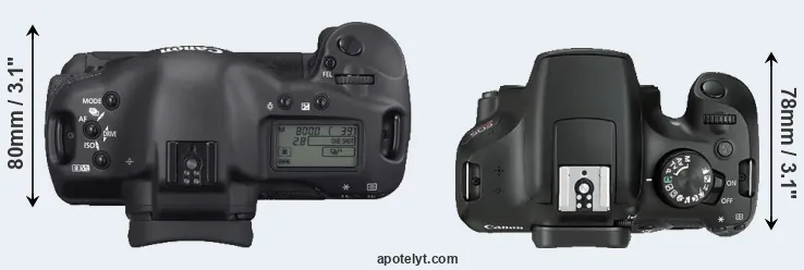 Compare 1D Mark II N versus T6 top