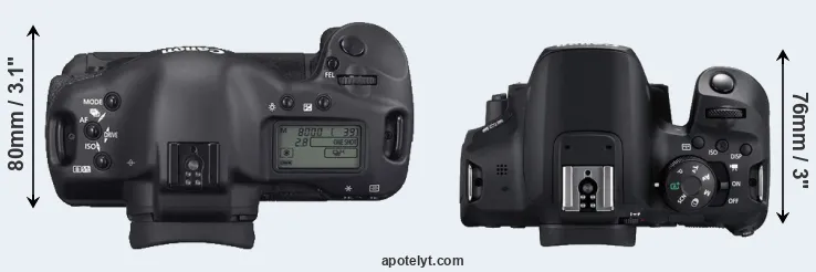 Compare 1D Mark II N versus T8i top
