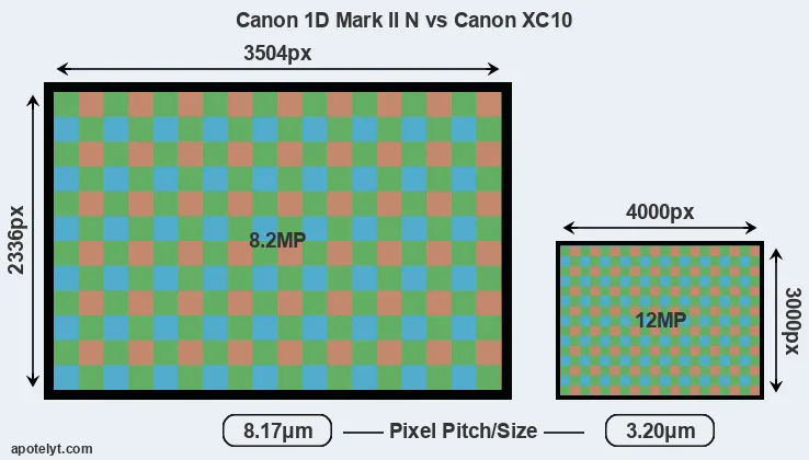 1D Mark II N versus XC10 MP
