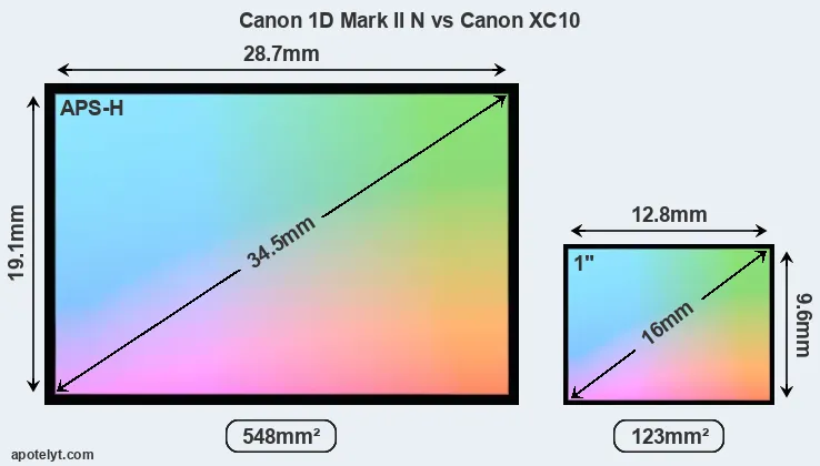 Canon 1D Mark II N and Canon XC10 sensor measures