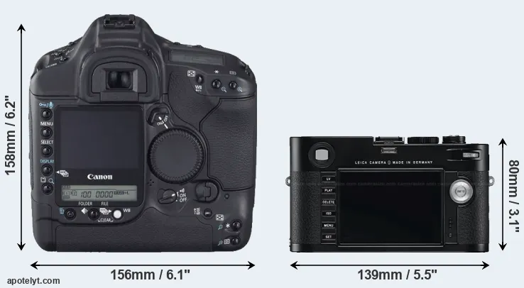 Comparison 1D Mark II N or M Typ 240 rear