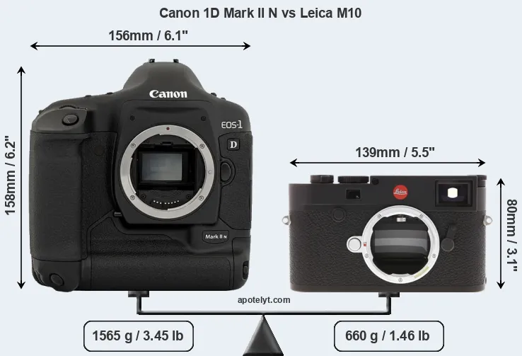 Size Canon 1D Mark II N vs Leica M10