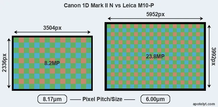 1D Mark II N versus M10-P MP