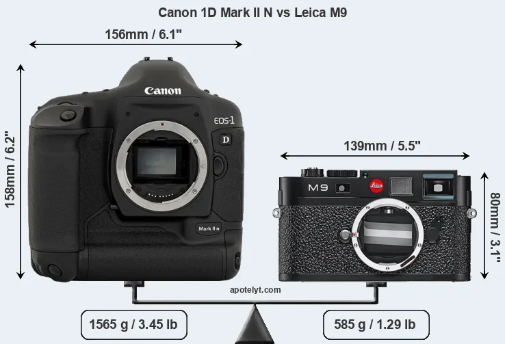 Size Canon 1D Mark II N vs Leica M9