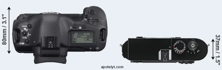 Compare 1D Mark II N versus M9 top