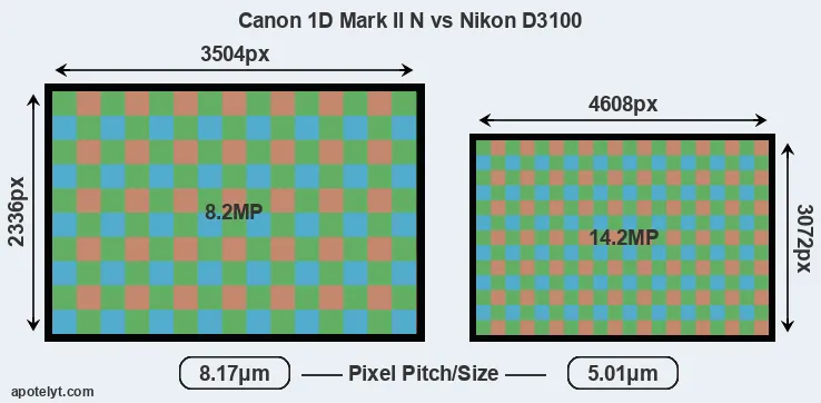 1D Mark II N versus D3100 MP