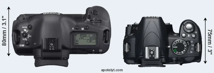 Compare 1D Mark II N versus D3100 top