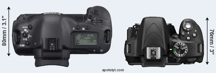 Compare 1D Mark II N versus D3300 top