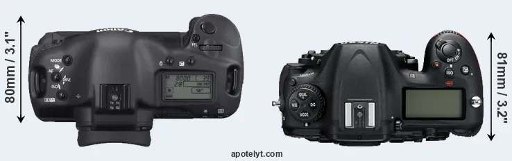 Compare 1D Mark II N versus D500 top