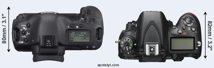 Compare 1D Mark II N versus D600 top