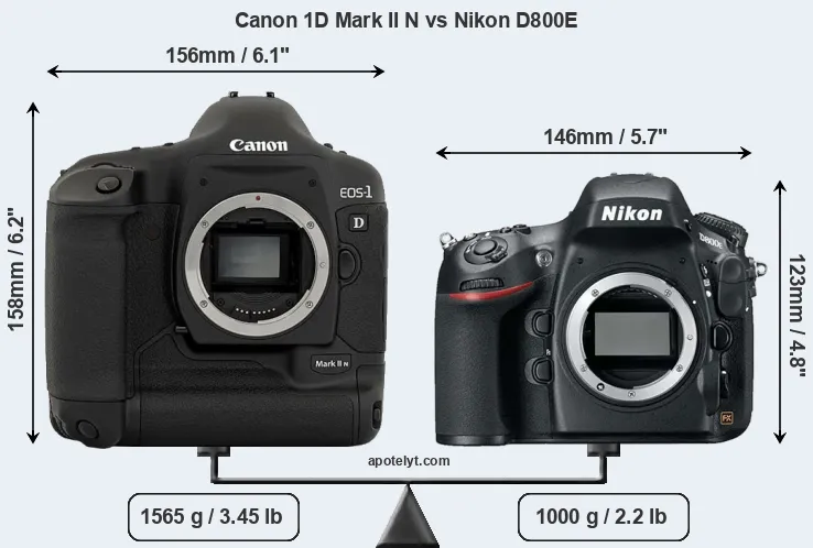 Size Canon 1D Mark II N vs Nikon D800E