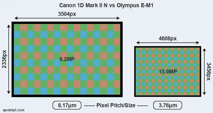 1D Mark II N versus E-M1 MP