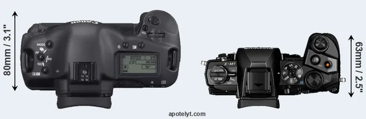 Compare 1D Mark II N versus E-M1 top