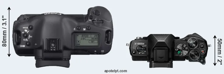 Compare 1D Mark II N versus E-M10 III top
