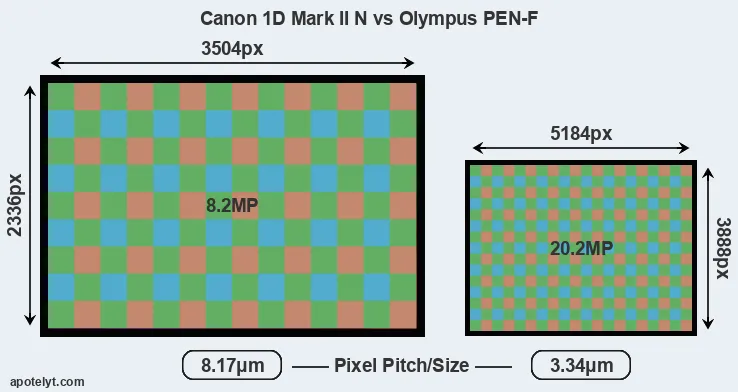1D Mark II N versus PEN-F MP