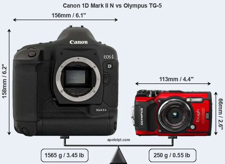 Size Canon 1D Mark II N vs Olympus TG-5