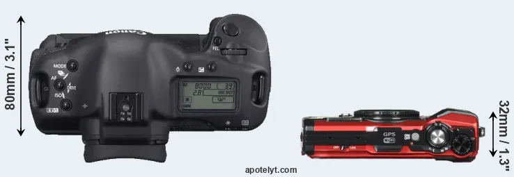Compare 1D Mark II N versus TG-5 top
