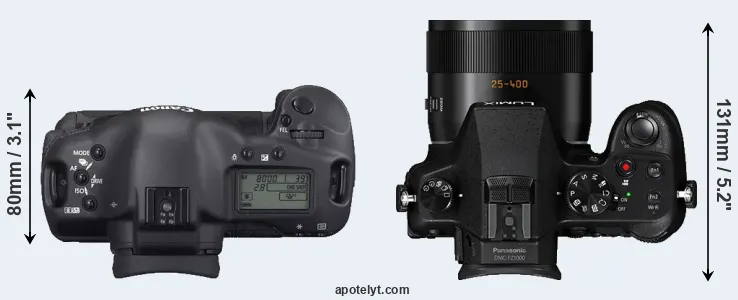 Compare 1D Mark II N versus FZ1000 top