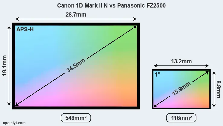 Canon 1D Mark II N and Panasonic FZ2500 sensor measures
