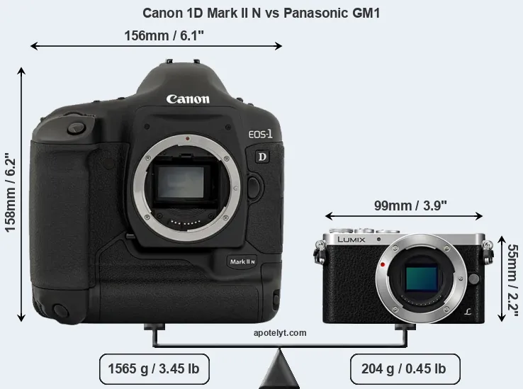 Size Canon 1D Mark II N vs Panasonic GM1