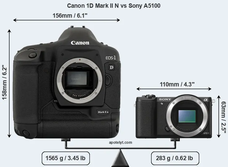 Size Canon 1D Mark II N vs Sony A5100