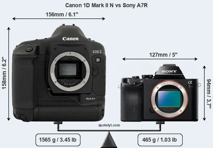 Size Canon 1D Mark II N vs Sony A7R