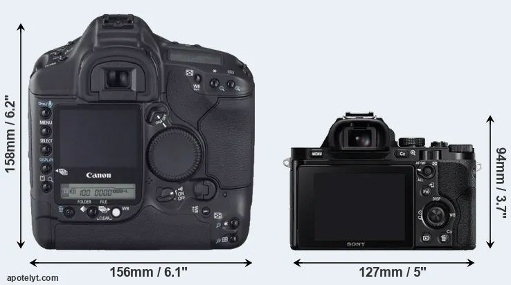 Comparison 1D Mark II N or A7R rear