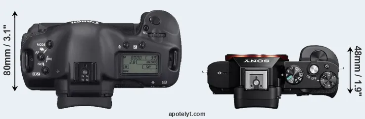 Compare 1D Mark II N versus A7R top