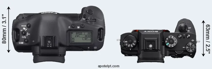 Compare 1D Mark II N versus A9 top