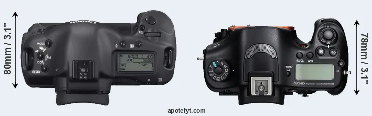 Compare 1D Mark II N versus A99 top